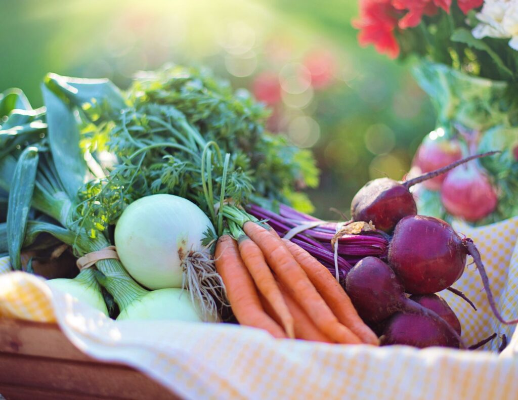 harvesting vegetables from your own vegetable garden city floral greenhouse and garden center denver