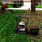 first-leaf-mowing-of-the-season-bill-smith-flickrcc2-0