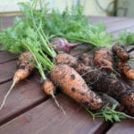 carrots-rene-cunningham-flickrcc2-0
