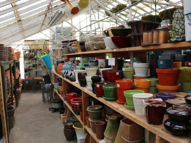 Pot and Container Selection at city floral greenhouse and garden center