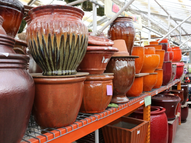 Pot and Container Selection at city floral greenhouse and garden center