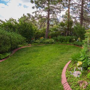 Colorado Grass Seed Mix - City Floral Garden Center - Denver