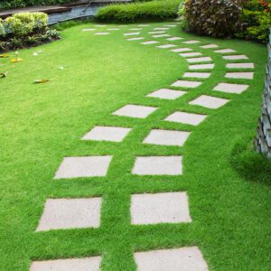 Forever Green Grass Lawn | City Floral Garden Center - Denver