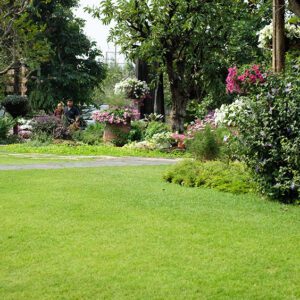 Grass seed varieties for your lawn | City Floral Garden Center - Denver