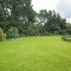 Low Grow Grass Seed Mix | City Floral Garden Center - Denver