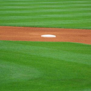 Rocky's Ballpark Grass Seed | City Floral Garden Center - Denver