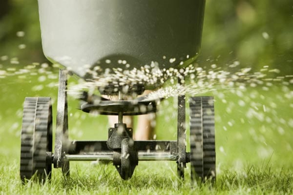 Lawn Fertilizer and Weed Control