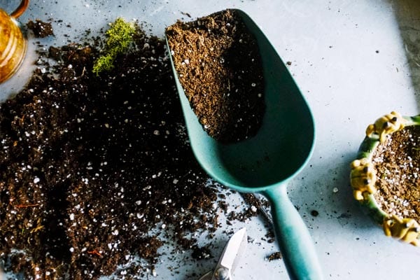 Soil for growing seeds