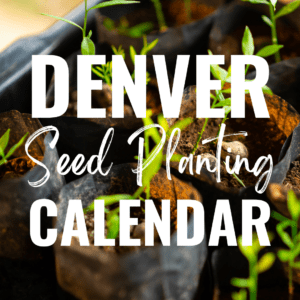 Seed Calendar link