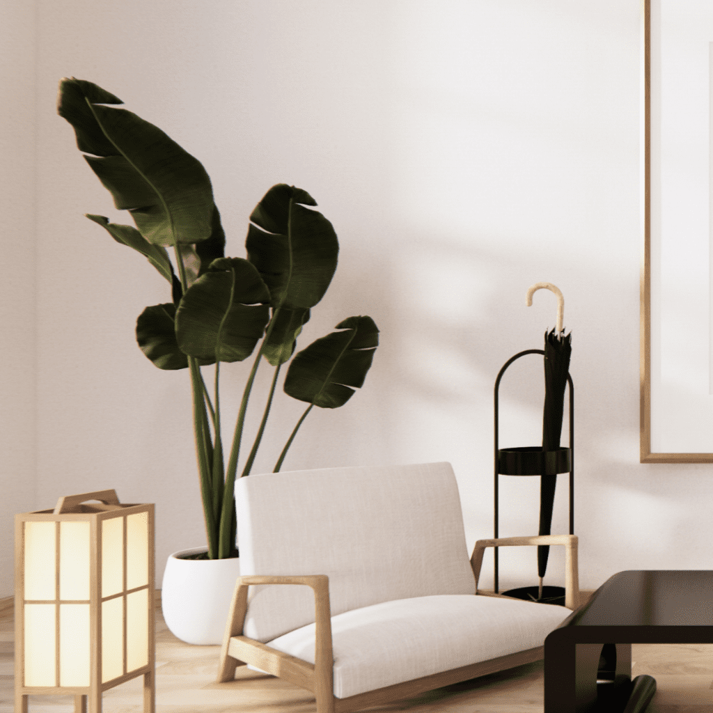 large banana plant behind modern armchair, interior design