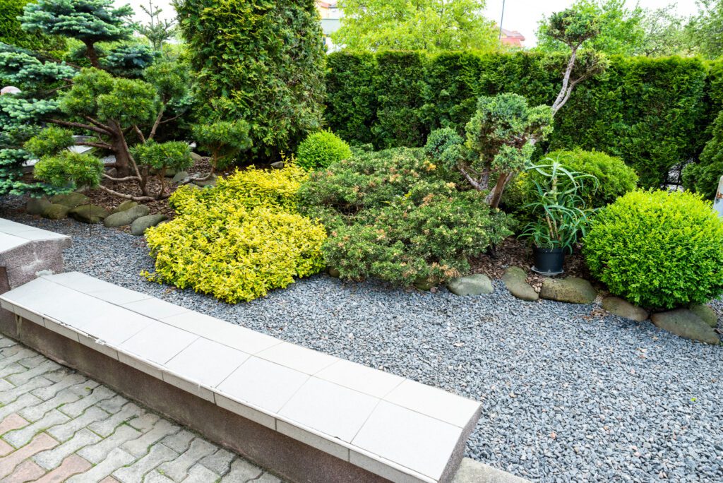 Evergreen shrubs and trees in a gravel perennial bed | City Floral Garden Center - Denver