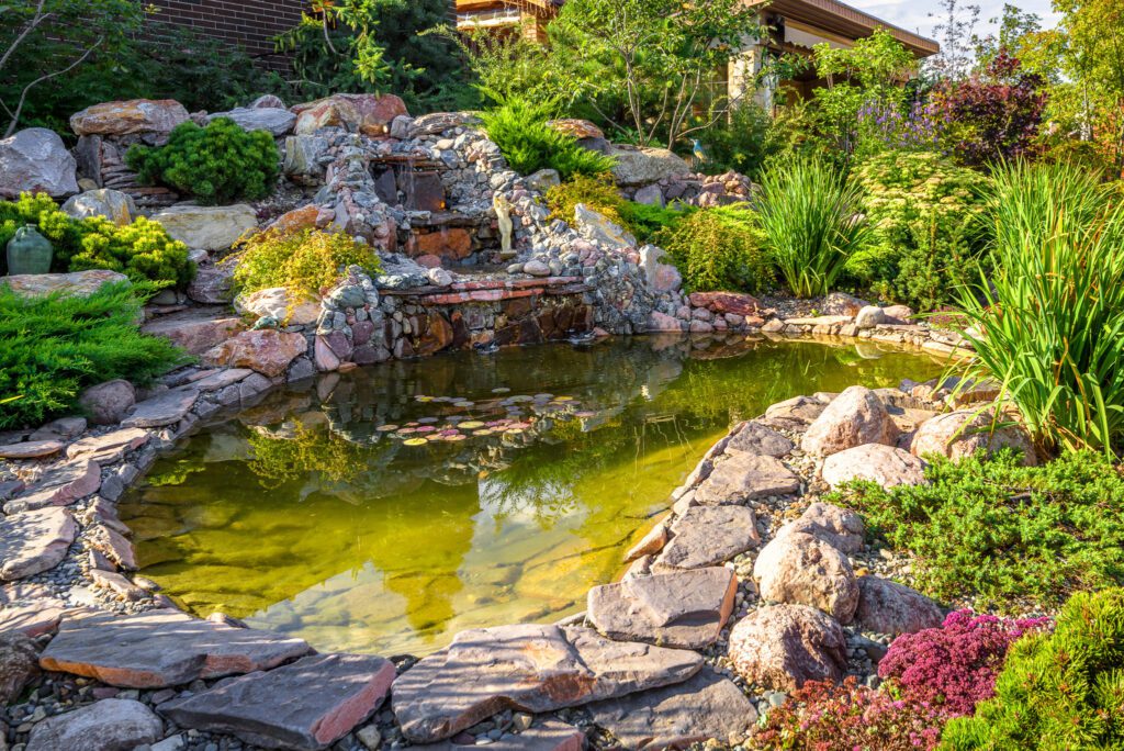 Small backyard pond with ferns and aquatic plants | City Floral Garden Center - Denver