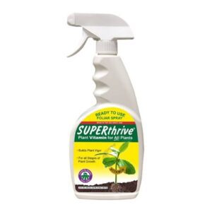 Houseplant Fertilizer