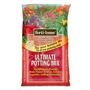 Houseplant Soils