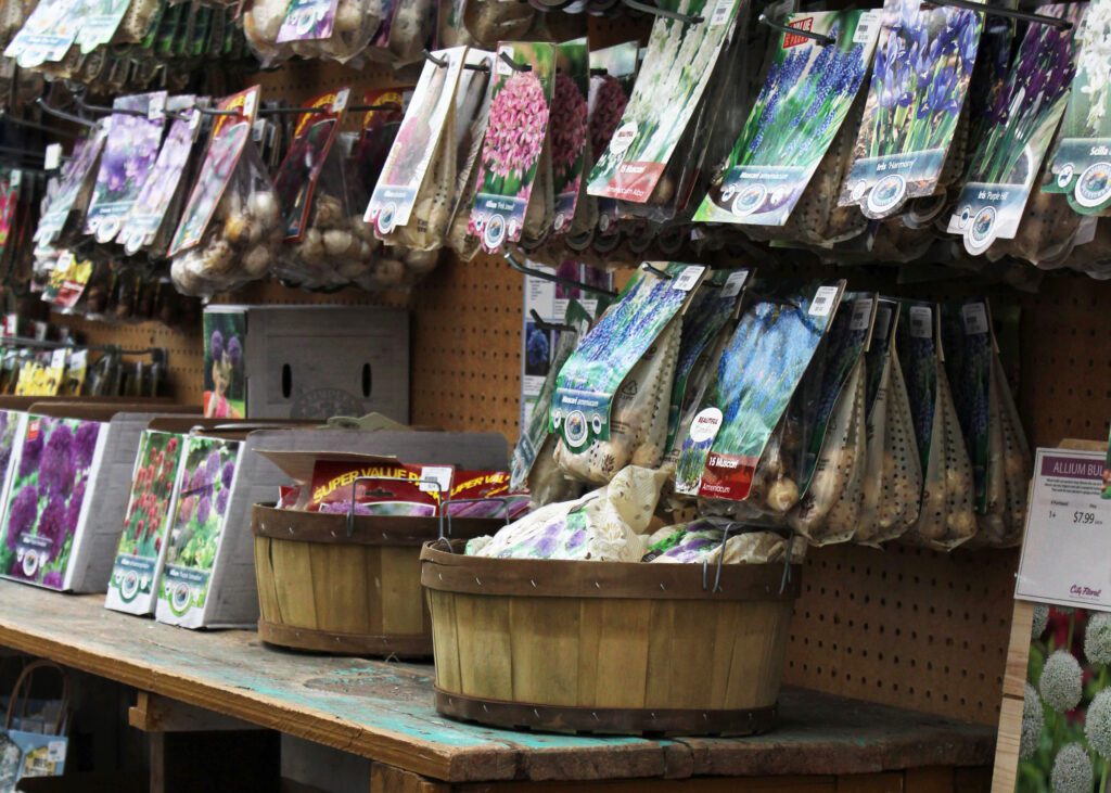 fall bulb selection at city floral denver