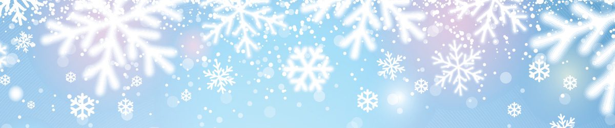 City Floral Garden Center-Fresh-Holiday Sale - snowflake banner