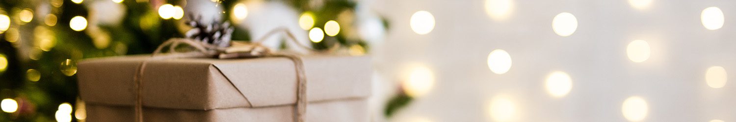 City Floral Garden Center-Fresh-Holidays--christmas gift
