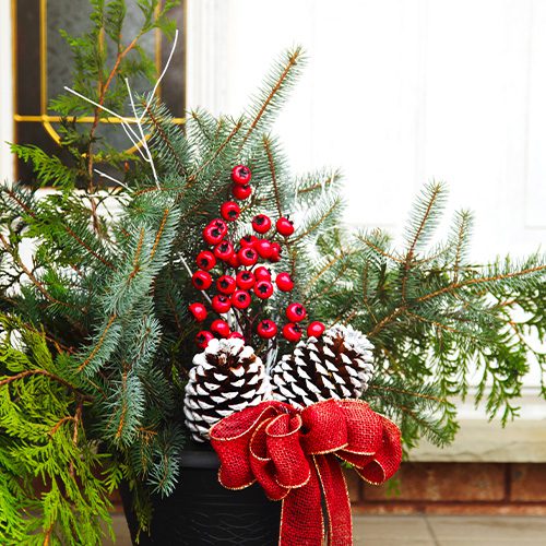 City Floral Garden Center-Fresh-Holidays-evergreen planter pot