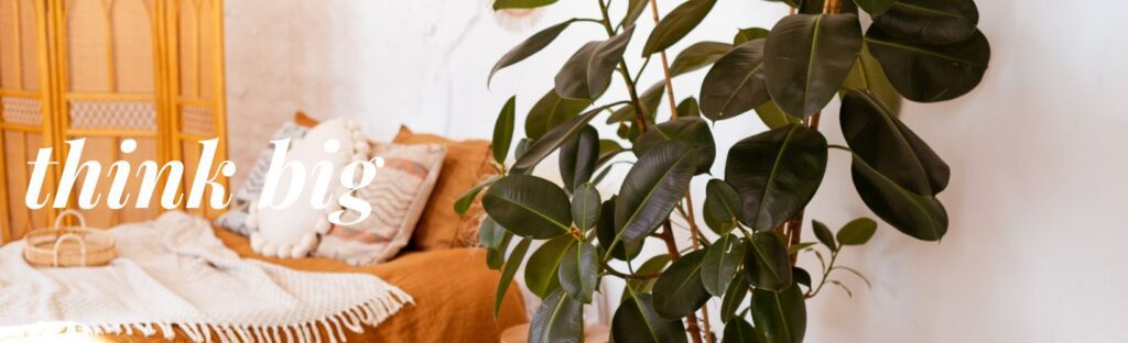 think big- large houseplants are a huge trend in houseplants for 2023