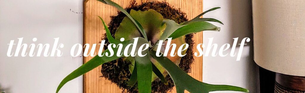 mounting plants like staghorn ferns and hoyas will be a popular trend in houseplants for 2023