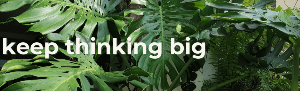 big houseplants are still a big trend for houseplants in 2024
