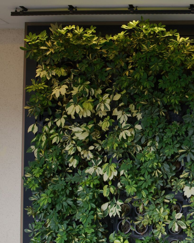 living wall houseplant wall install with grow lights