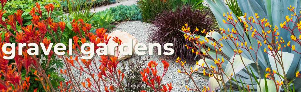 gravel gardens garden trends 2024