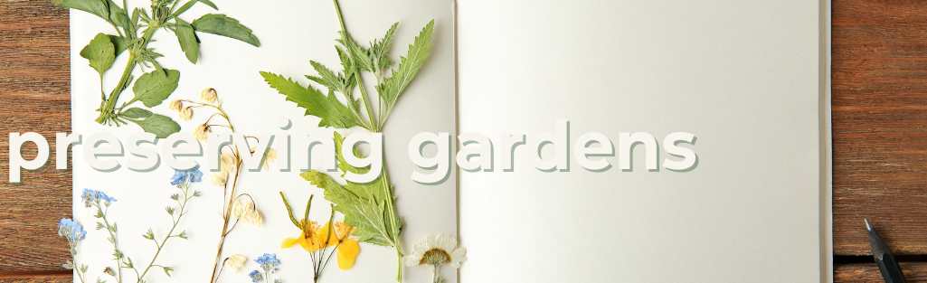 preserving garden dried flower and pressed flower garden