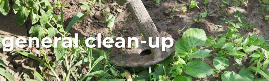 april gardening to do tasks general garden bed clean up and weeding