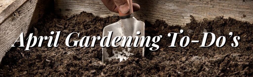 april gardening to-do's garden tasks for april in denver colorado