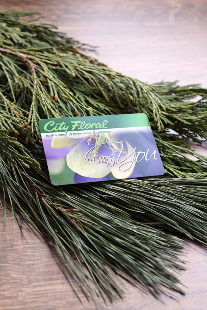 holiday gift card image