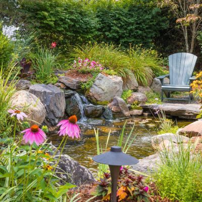Adirondack chair by a backyard pond with perennial flowers and grasses | City Floral Garden Center - Denver