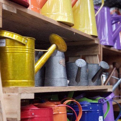 Colorful rainbow metal watering cans | City Floral Garden Center - Denver