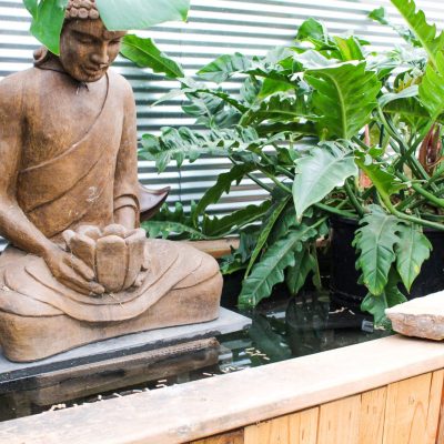Pond with statue and tropical plants | City Floral Garden Center - Denver